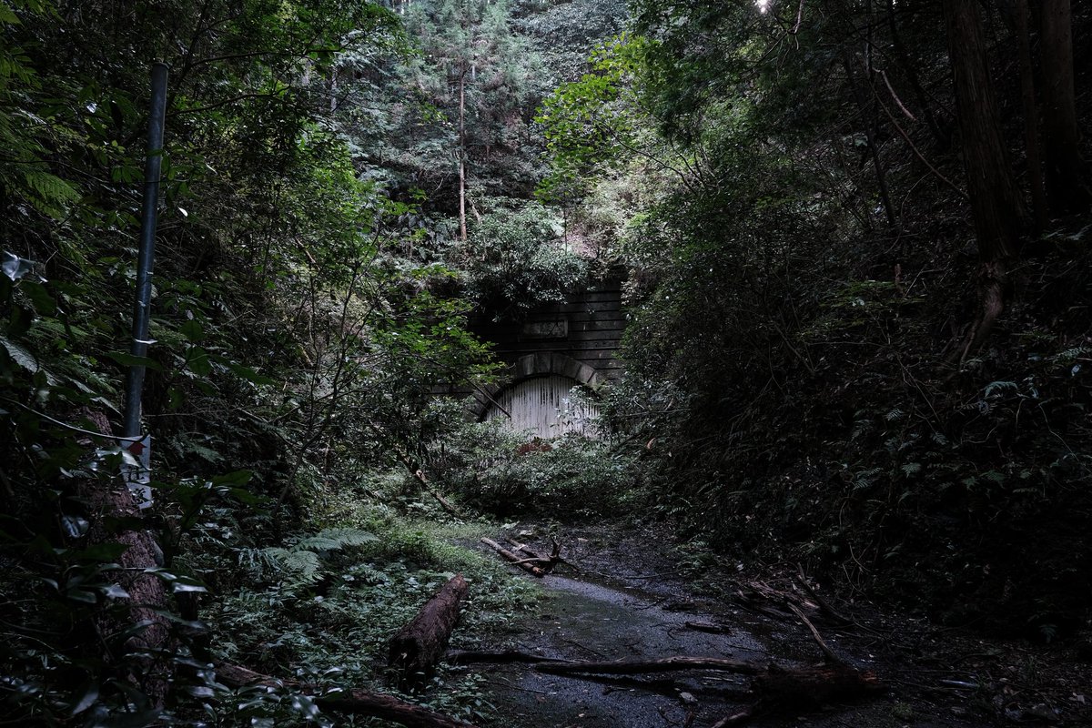 urbex47.🎥廃墟record tweet media