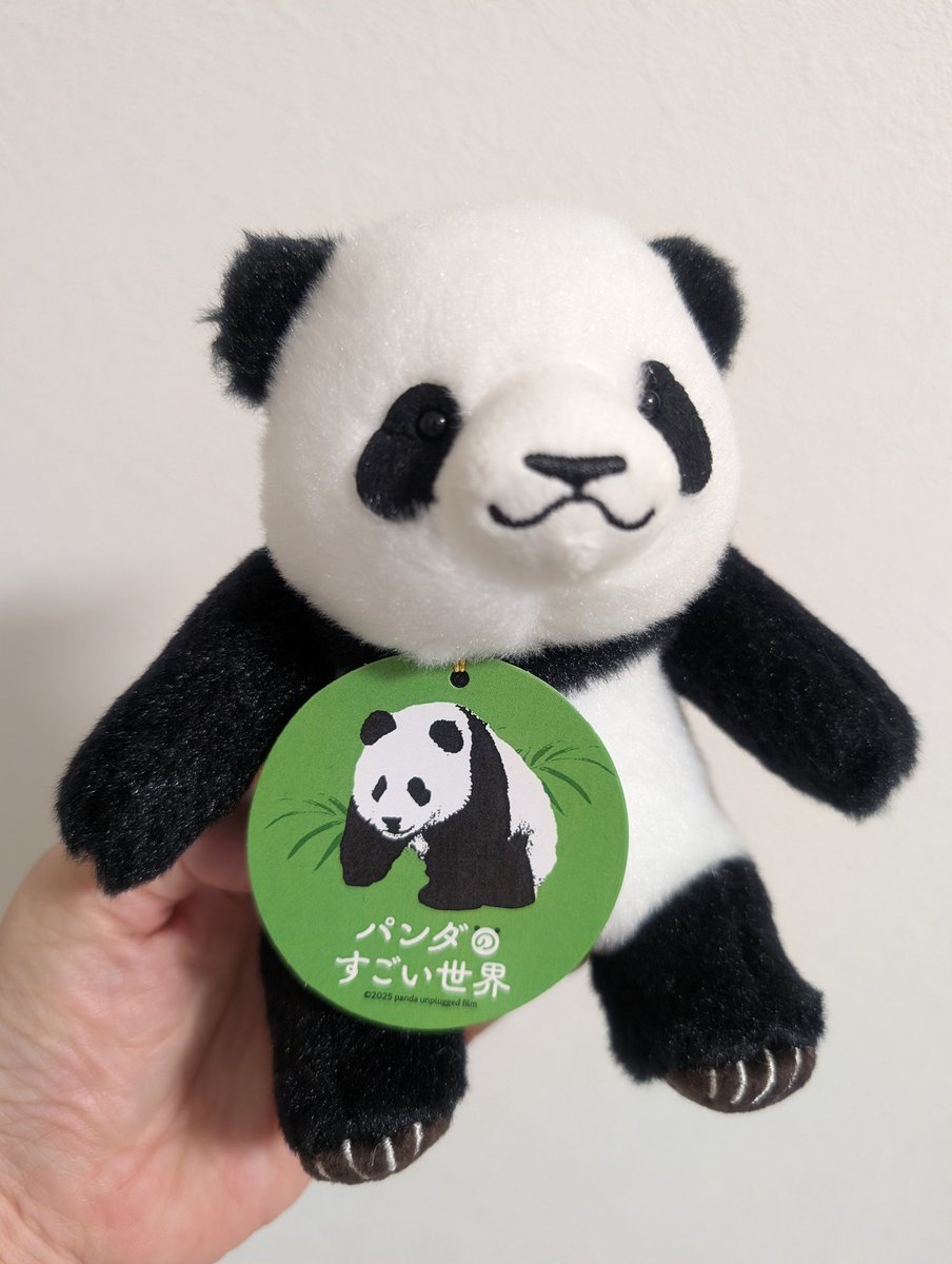 パンダライター 二木繁美｜『水曜日のお嬢様』発売中 (@Pandaexn