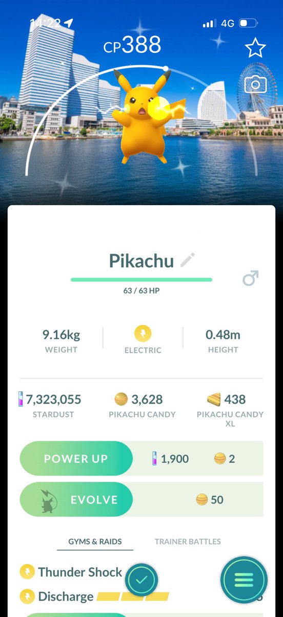 PokeLid Adventures tweet media