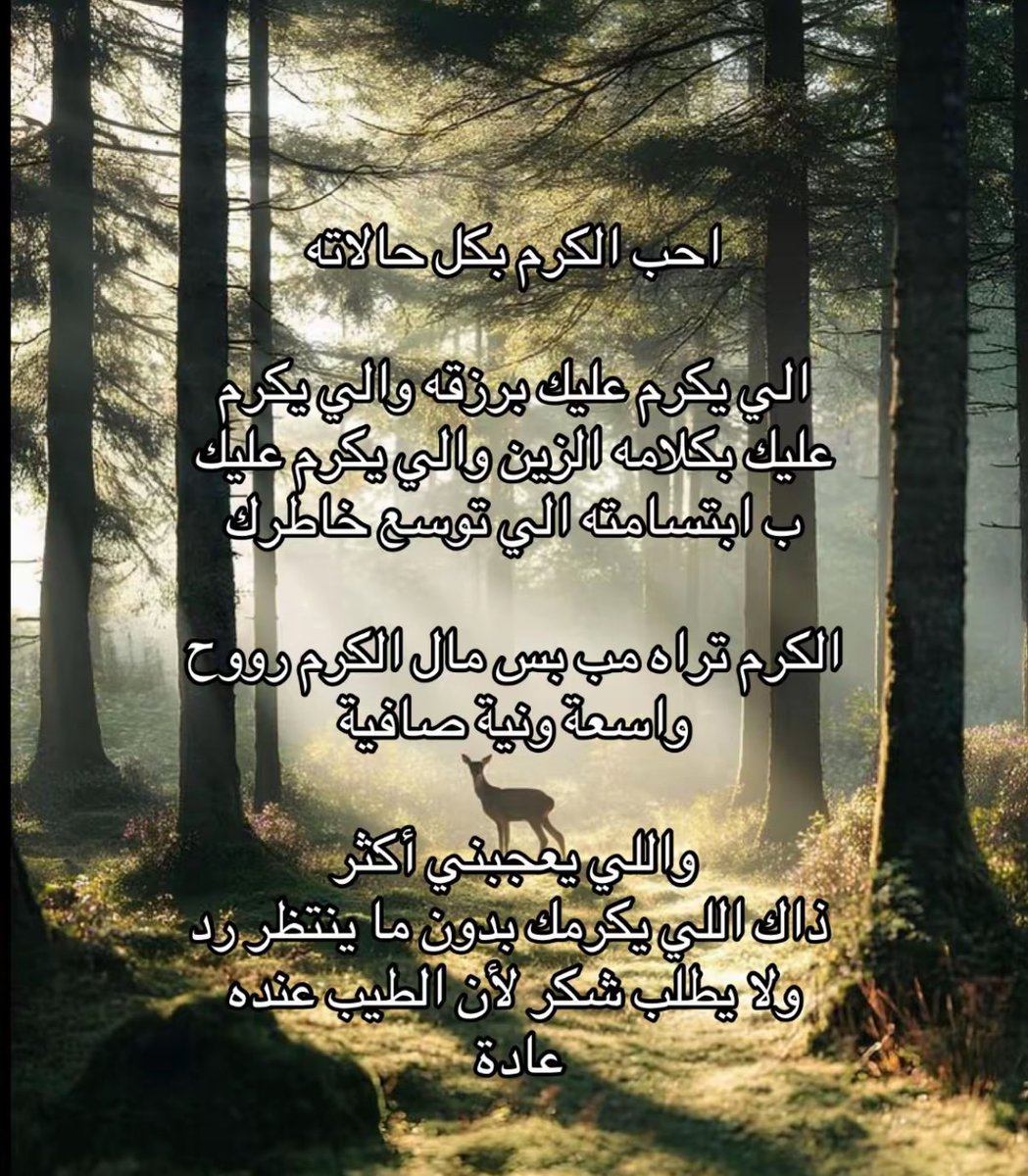 Norah | 努拉 tweet media