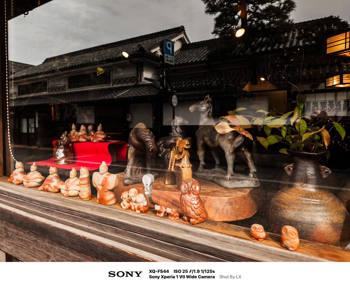 Xperia1ⅦでRAW撮影後Lightroomで現像