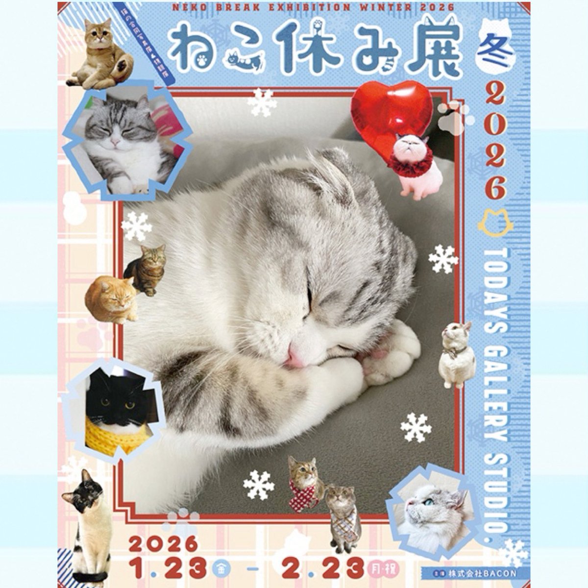 ねこ休み展2022 フェルト子猫 ねこ休み展2022 フェルト子猫 猫の合同写真展＆物販展「ねこ休み