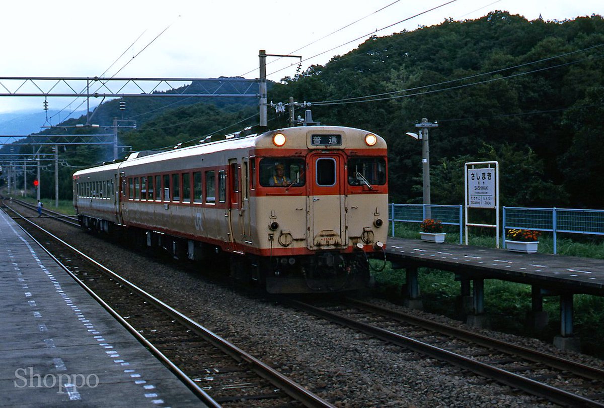 ショッポー (@shopposan0529) / Posts / X