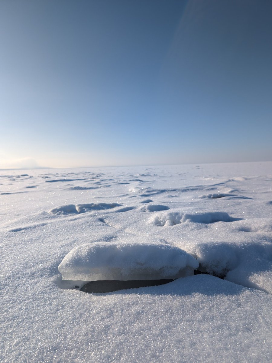 Как насчёт прогулки по замерзшему заливу
