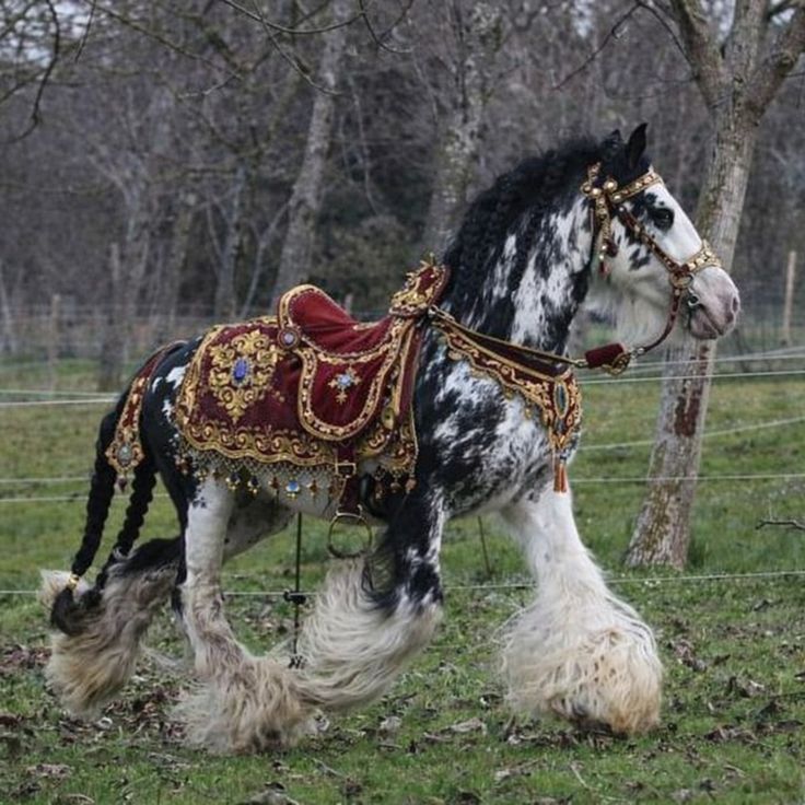 Earth Pictures 🌎🌎🌎 (@__earthpicture) on Twitter photo 