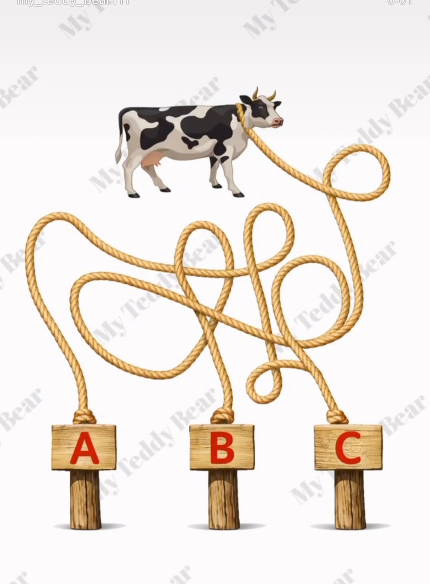 Sizce inek hangi ipe bağlı.