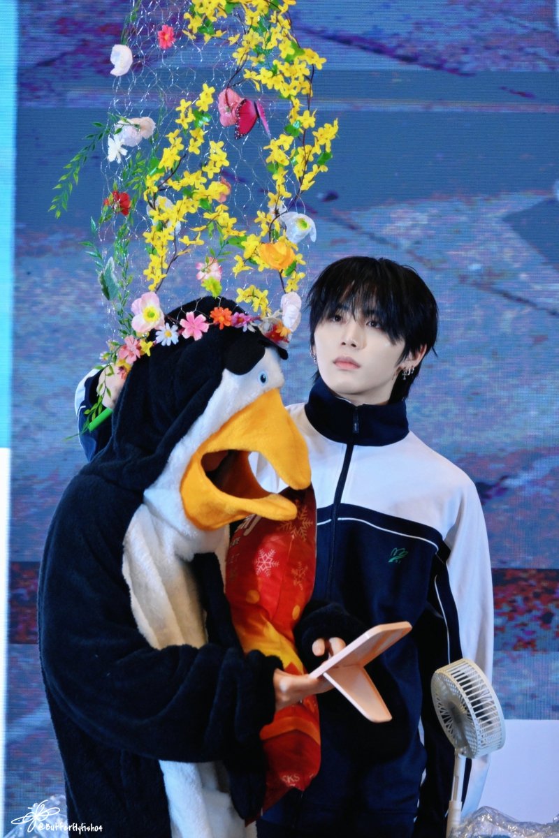 나비피쉬 tweet media