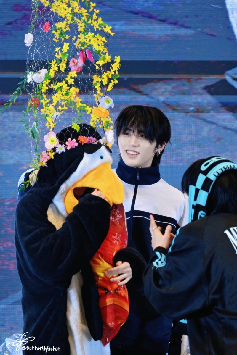 나비피쉬 tweet media