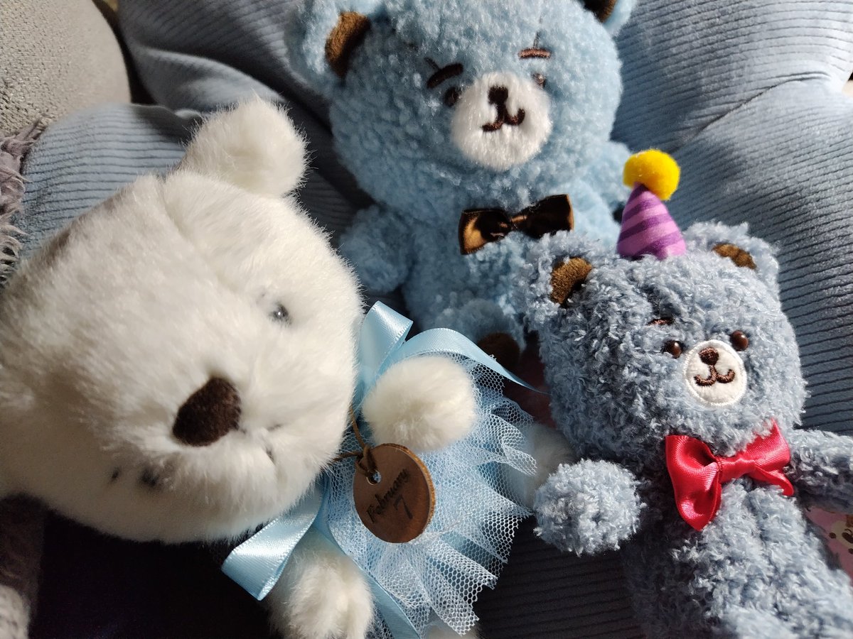 mashimaromuffin's tweet photo. クマちゃん達🐻🐻‍❄️ https://t.co/GiLXdamfc5