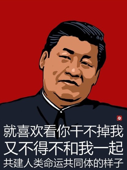 人在江湖飘保命用小号 tweet media