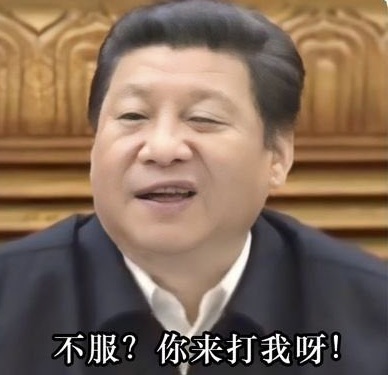 人在江湖飘保命用小号 tweet media