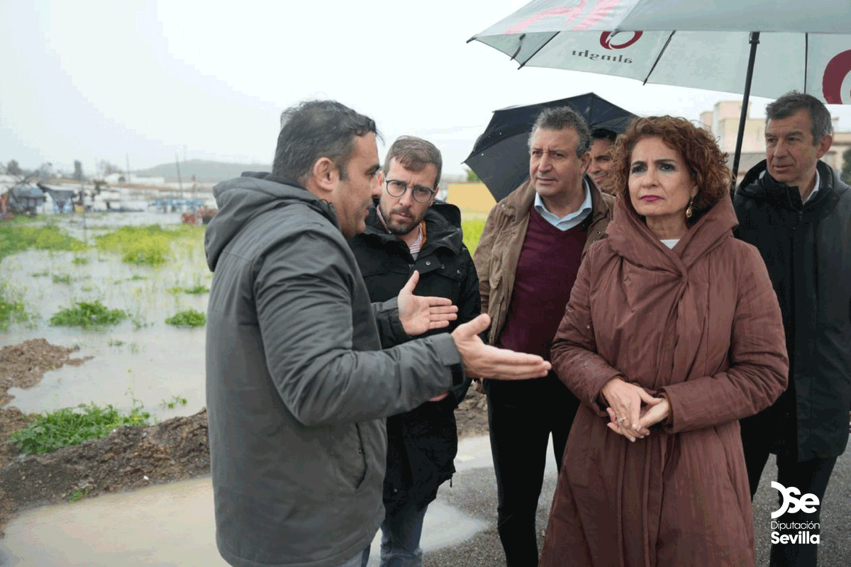 Diputación de Sevilla tweet media