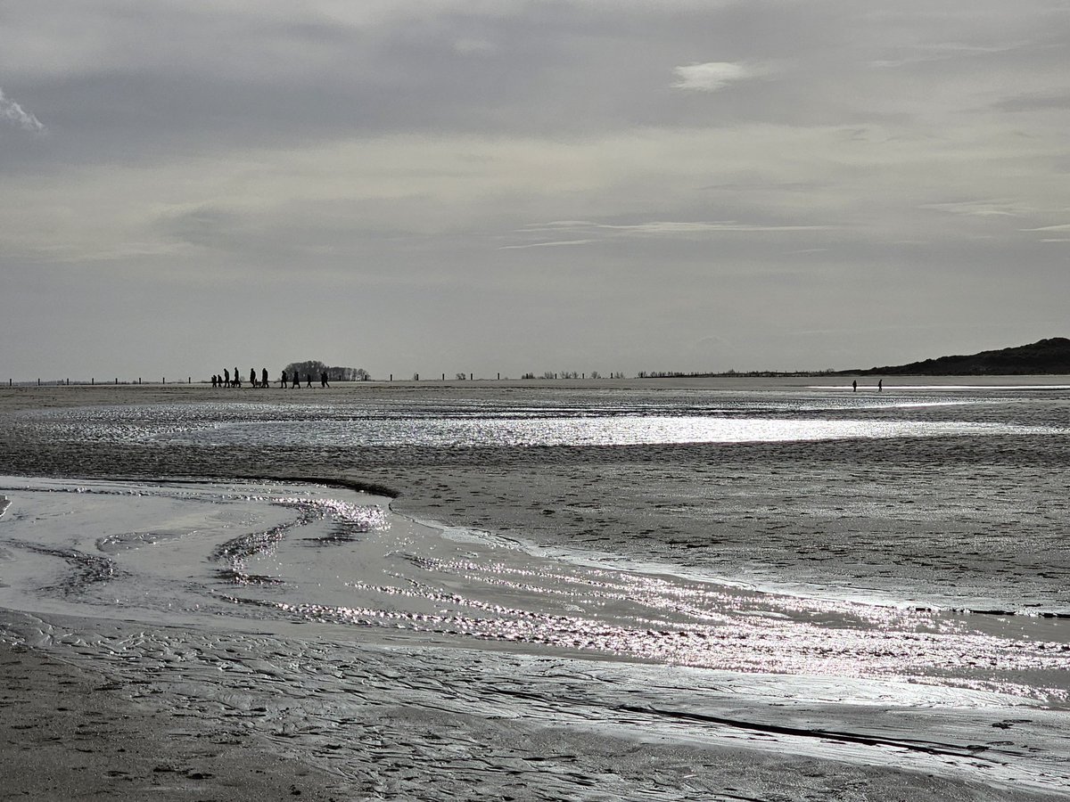 P3T3R 🦋 tweet media