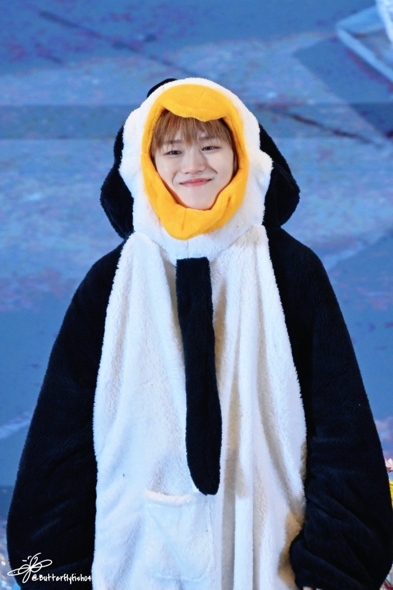 나비피쉬 tweet media