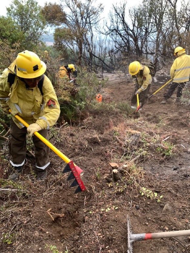 RespiraArg's tweet image. SIN TREGUA: así se pelea contra el fuego

No hay descanso.
No hay pausa.
Solo humo, calor y brigadistas dejando todo para que el incendio no avance.

Porque cada aporte suma.
Cada compartido ayuda.
Cada gesto cuenta.

💛 Alias: PATAGONIAUNIDA2026
🔁 Compartí / RT