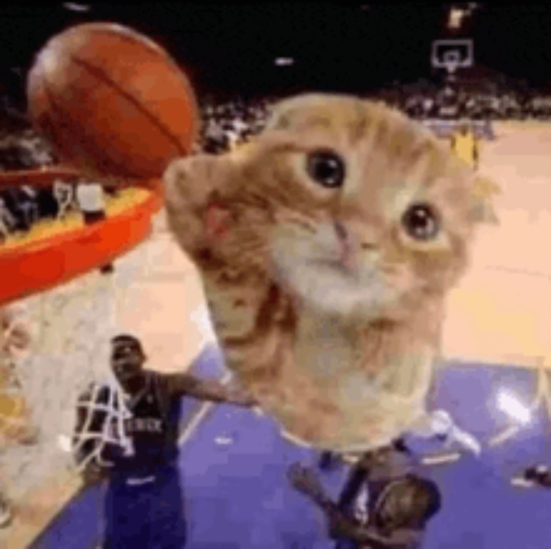 Mikeyuubi tweet media