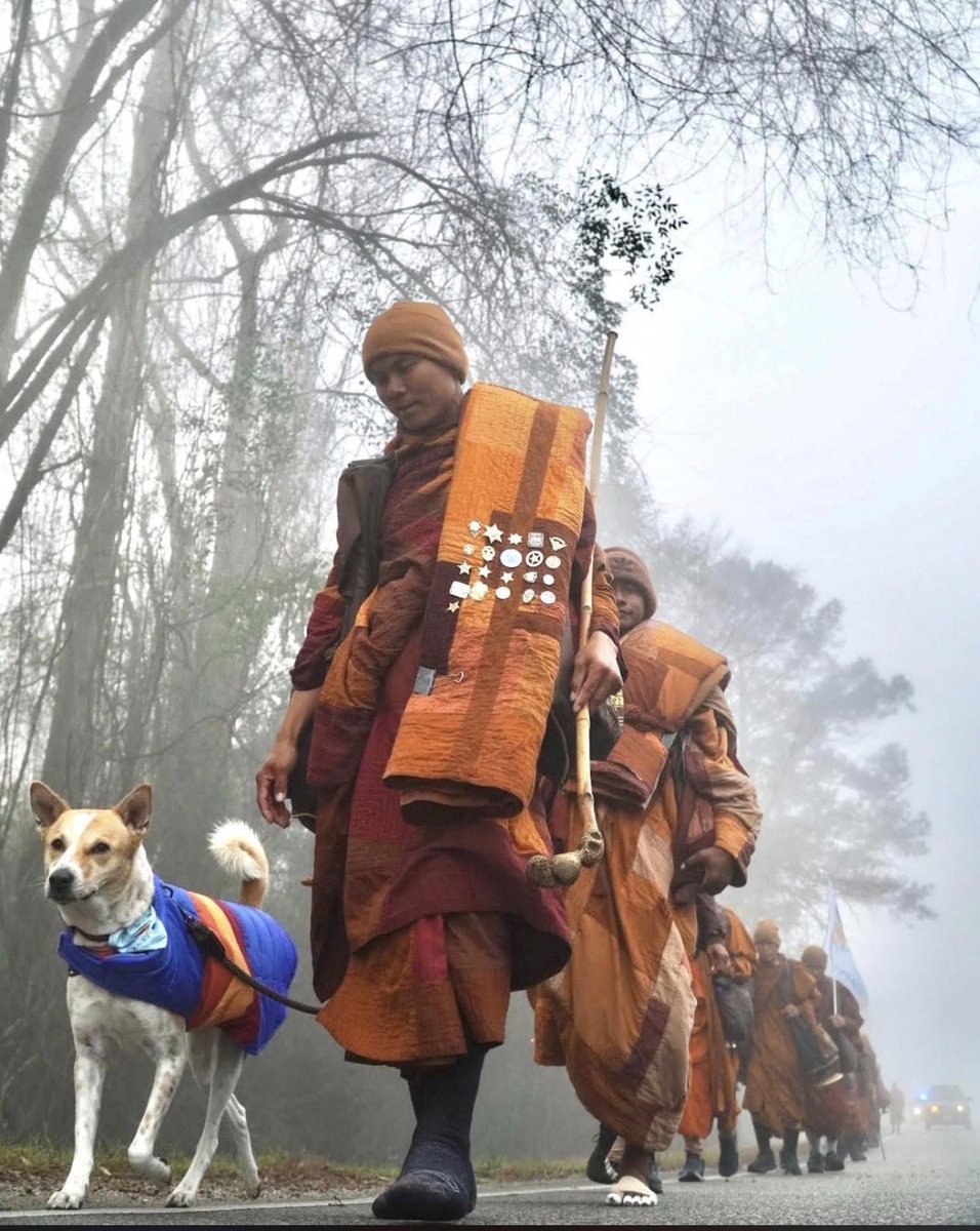 Trudi (🐕☮️) tweet media
