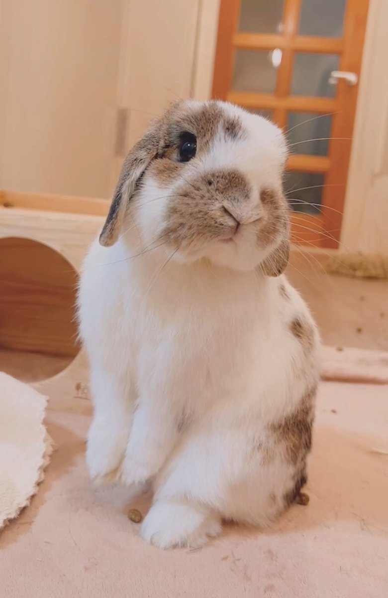おつかれさまでした🌙*⭐︎