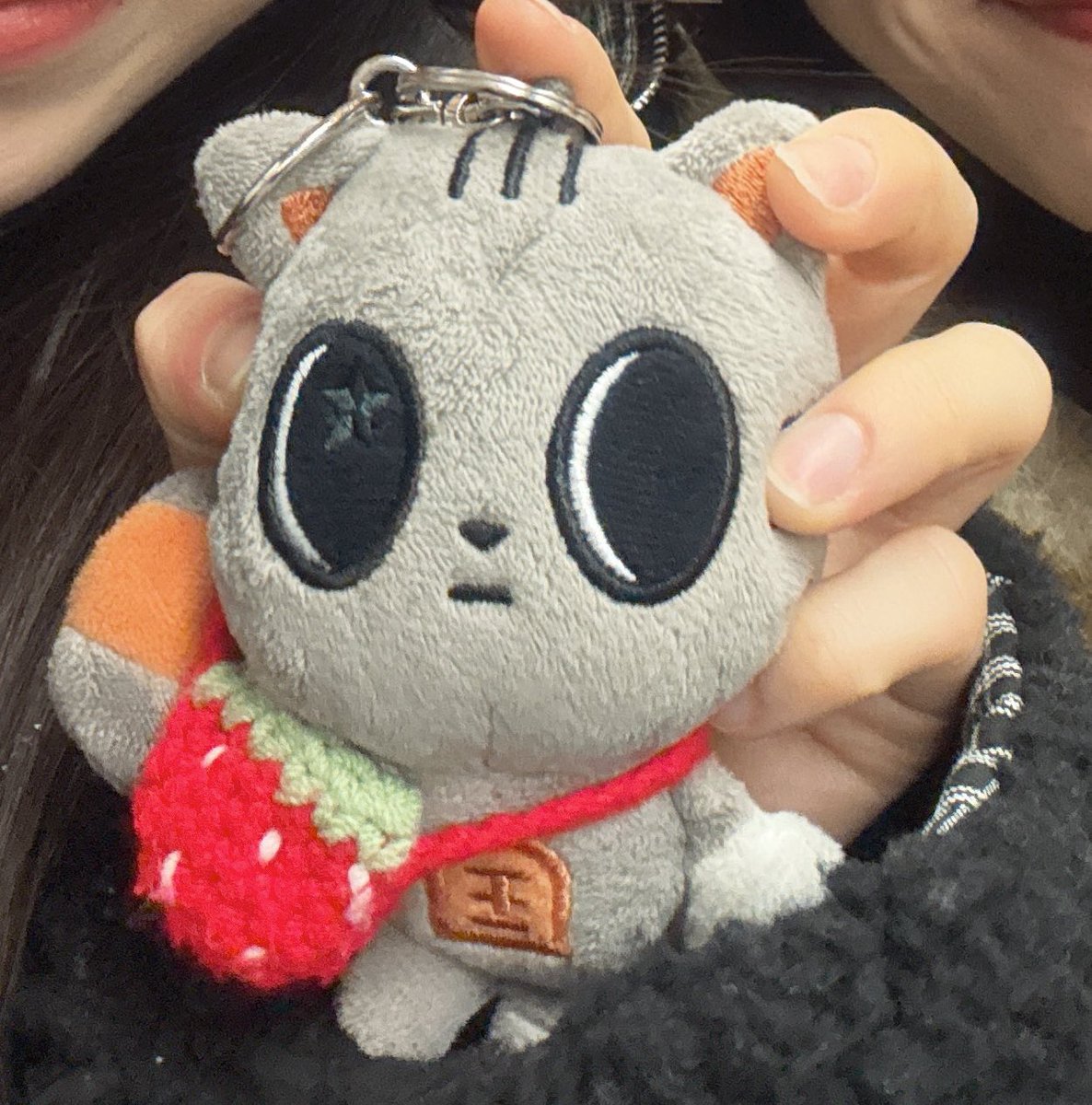 txtnyan_TH's tweet photo. 拡散希望。
このダゴニャンを落としてしまいました🥺

見つけた方リプ・DMお願い致しますm(_ _)m https://t.co/DTkvU87yF9