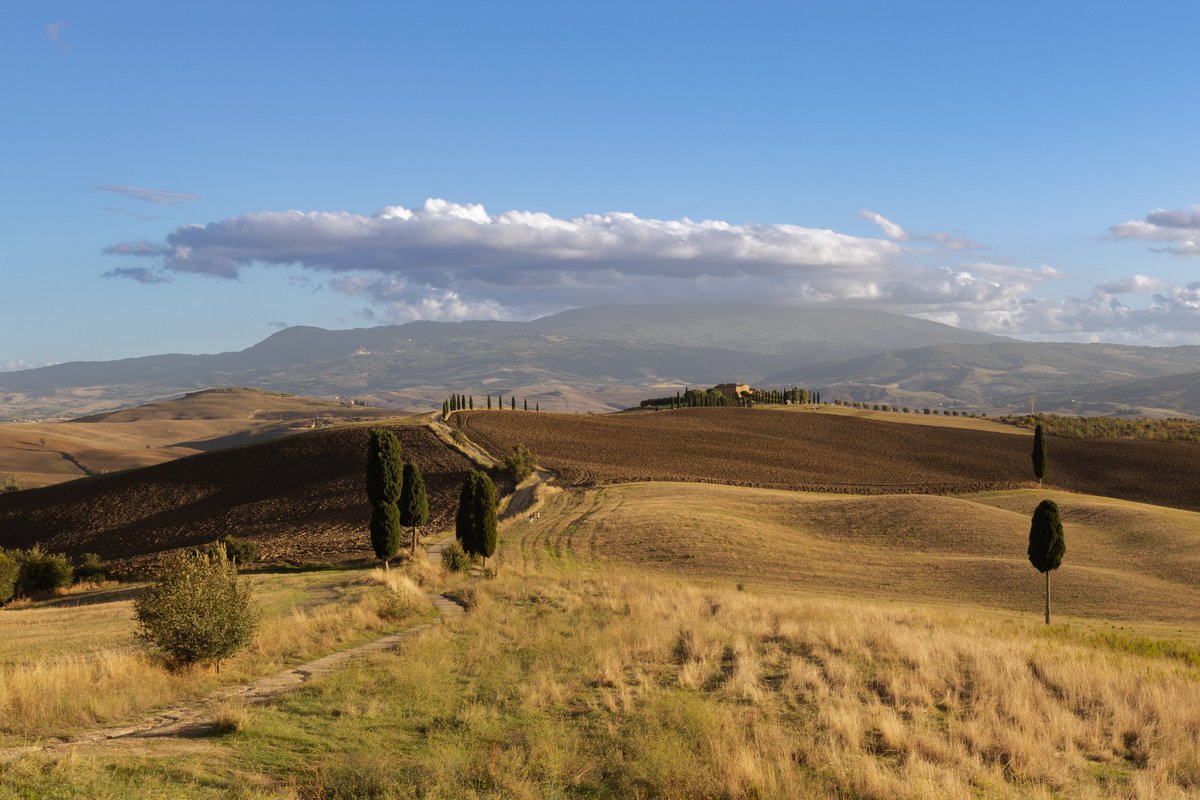 E questa è la mia foto scattata al podere Terrapille dove è stata girata la famosa scena del Gladiatore. Now we are free.