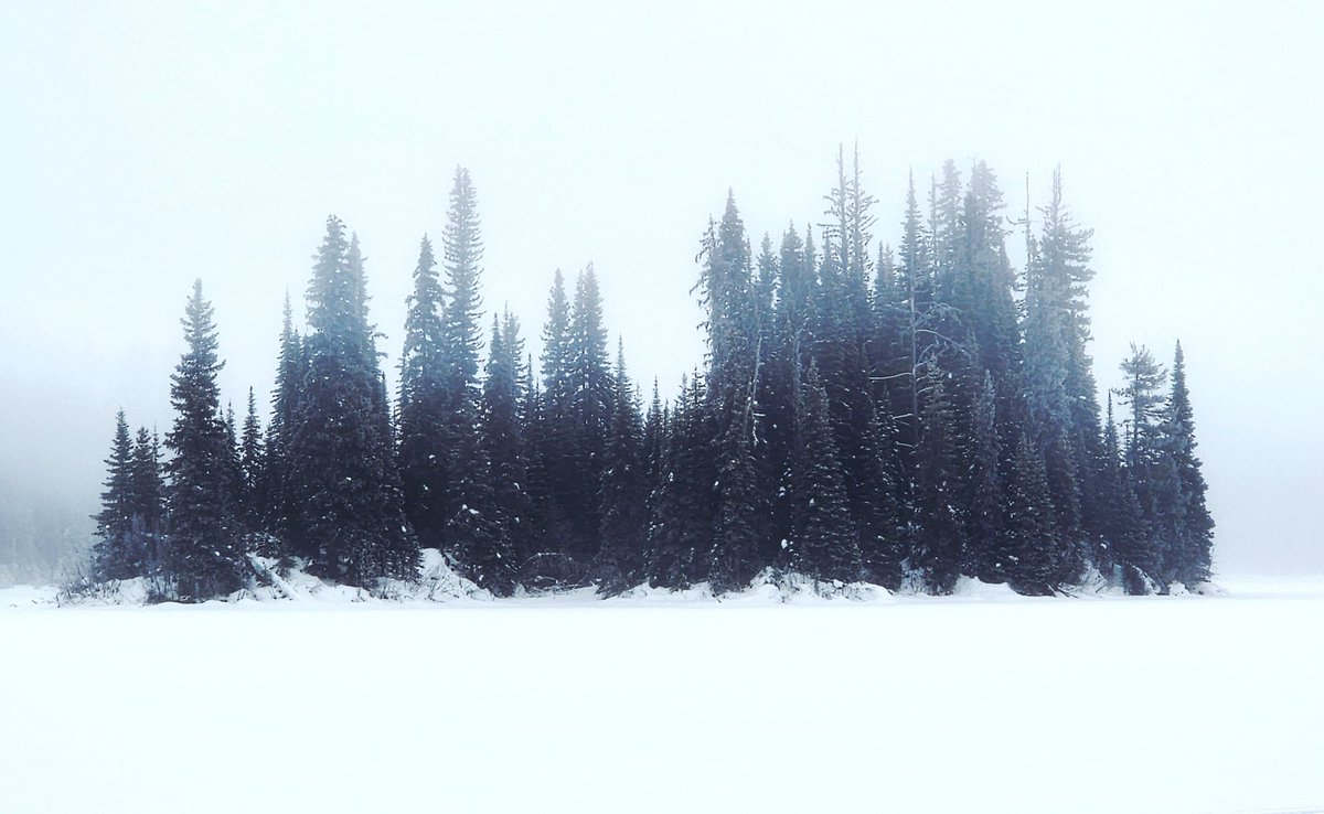 Dave37530840210's tweet image. beneath the white washed