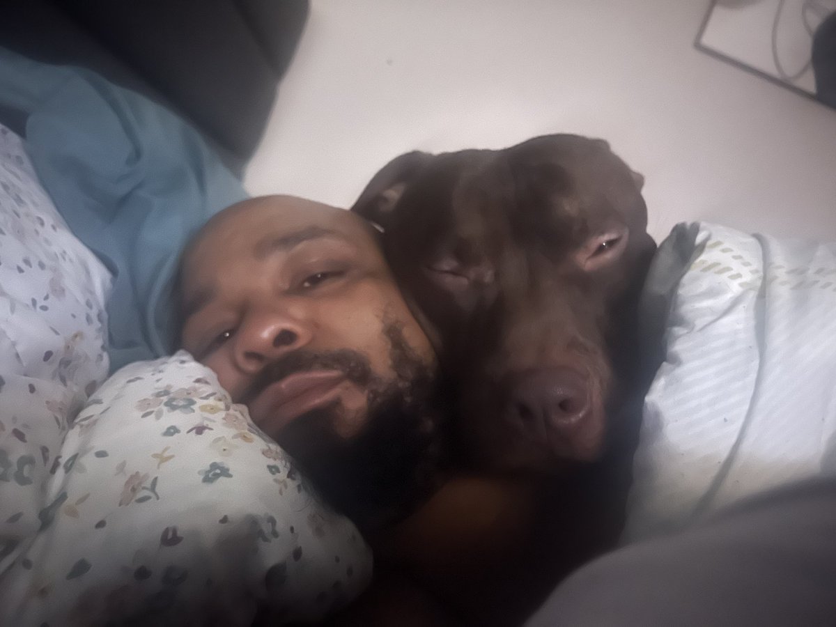 MiltonW72042399's tweet image. Guess it’s time to get up and draft lol. Duke won’t let me sleep #dogdad #pitbull #draftseason