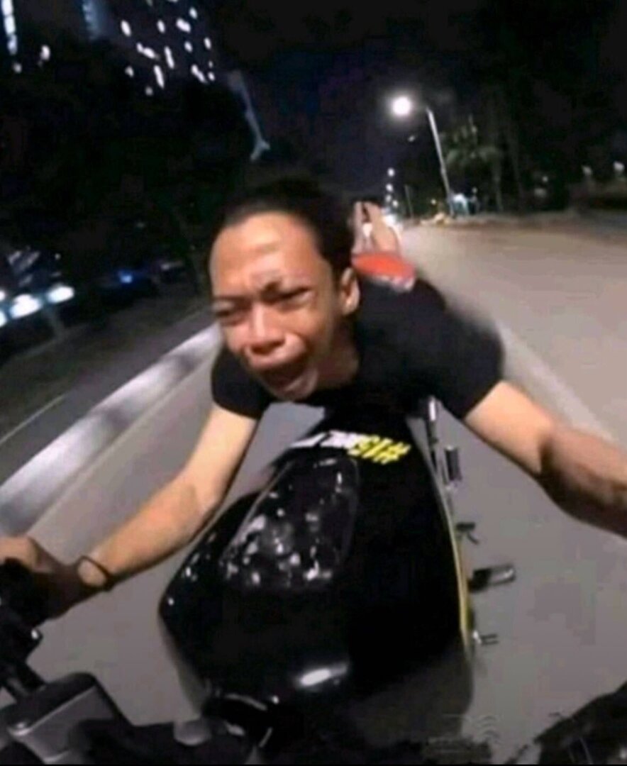 🦈 SUROBOYOFESS 🐊 tweet media