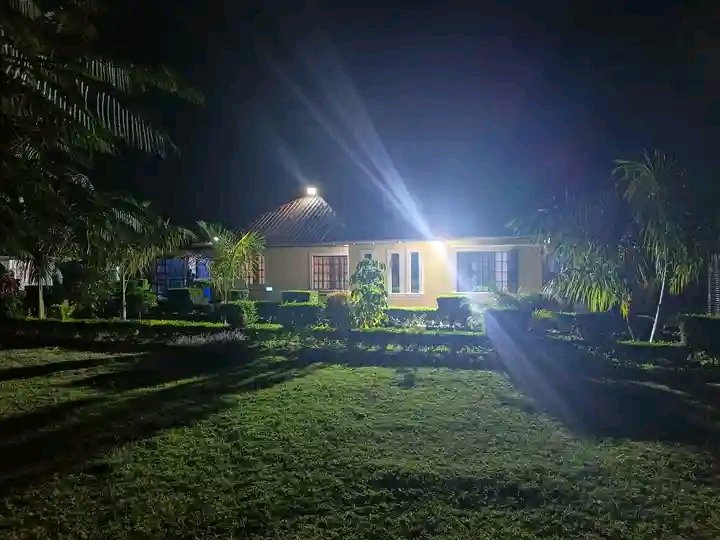 Official_lgnite's tweet photo. Ubaya  ya uzuri ya ndoa ya malast born (mama's boy) &amp; (dad's girl), kaugovi kidogo kila mtu anaenda kwa mzazi wake.  🤣

"Na soo i d!e oooh..!" https://t.co/U1RhWQOzLB