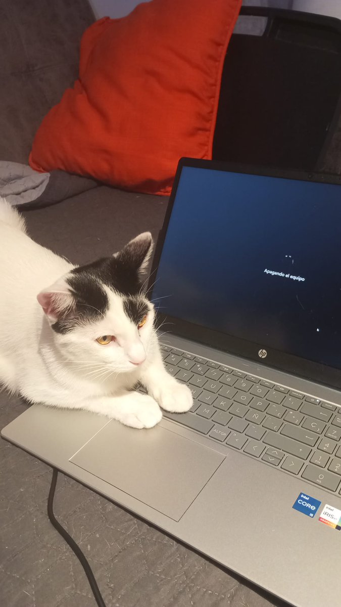 Nevils 480 tweet media