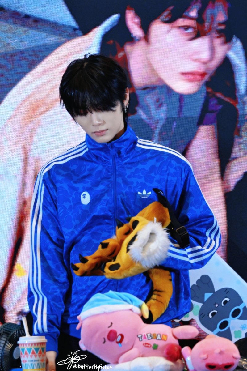 나비피쉬 tweet media