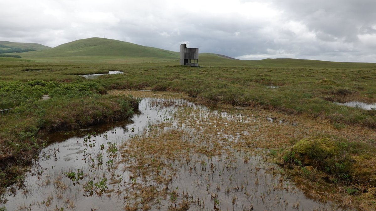 The Flow Country UNESCO World Heritage Site: