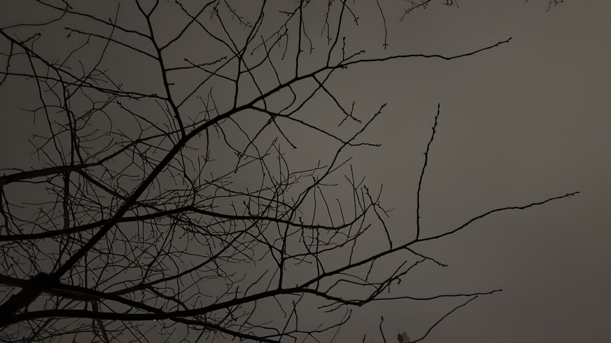 劇場出たらミゾレやないかい！

さっむ！