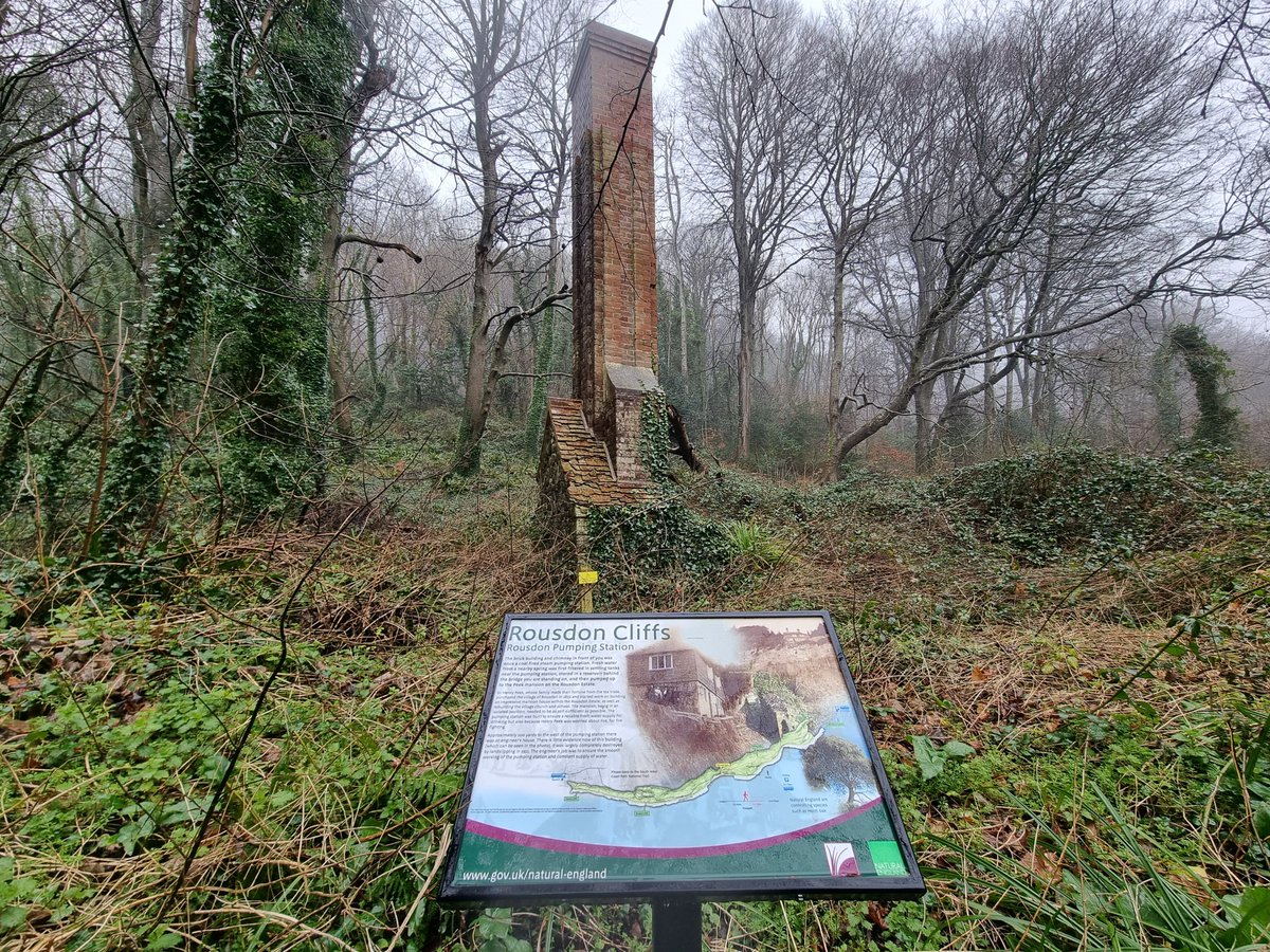 Axmouth - Lyme Regis Undercliffs National Nature Reserve on the Devon/Dorset border: