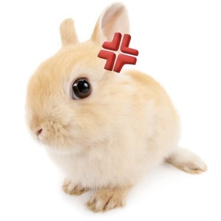 its the same picture