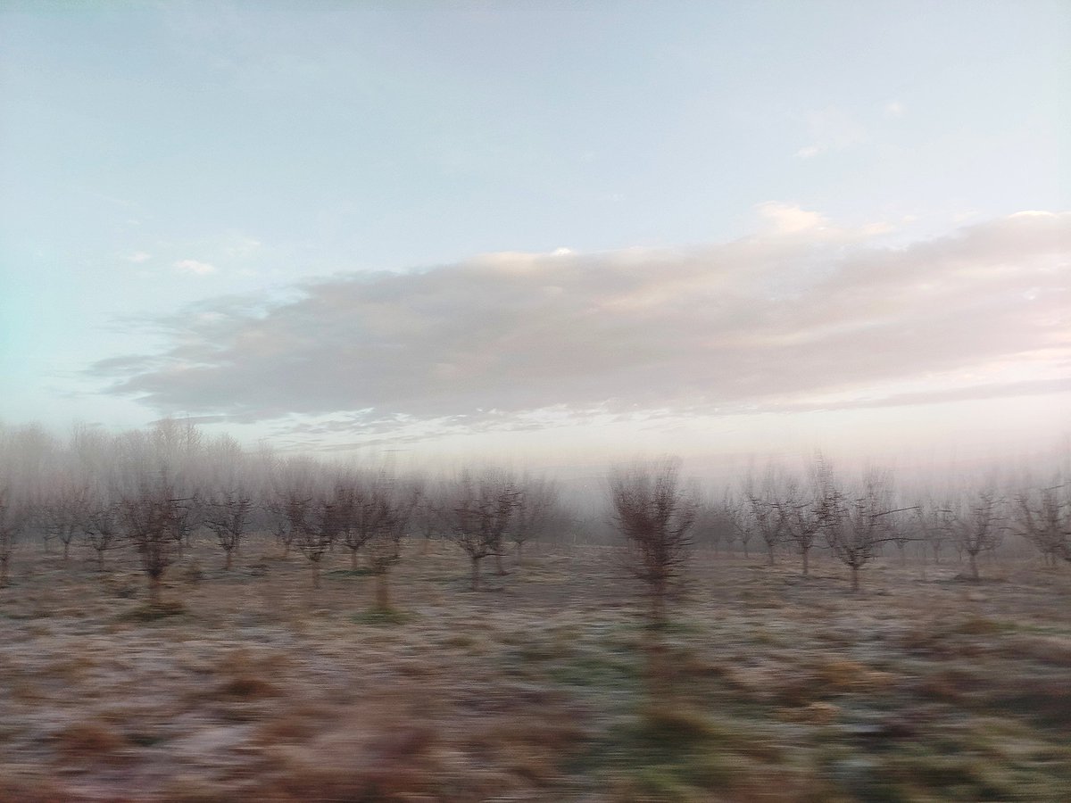 Господ је пастир мој и ничега ме неће лишити.
 На зеленој паши пасе ме, на тихој води одгаја ме.
 Душу моју опоравља, води ме стазама правде, имена Свога ради.
 Ако пођем и поcред сени смрти, нећу се бојати зла, јер си Ти са мном, штап Твој и палица Твоја, они ме теше.