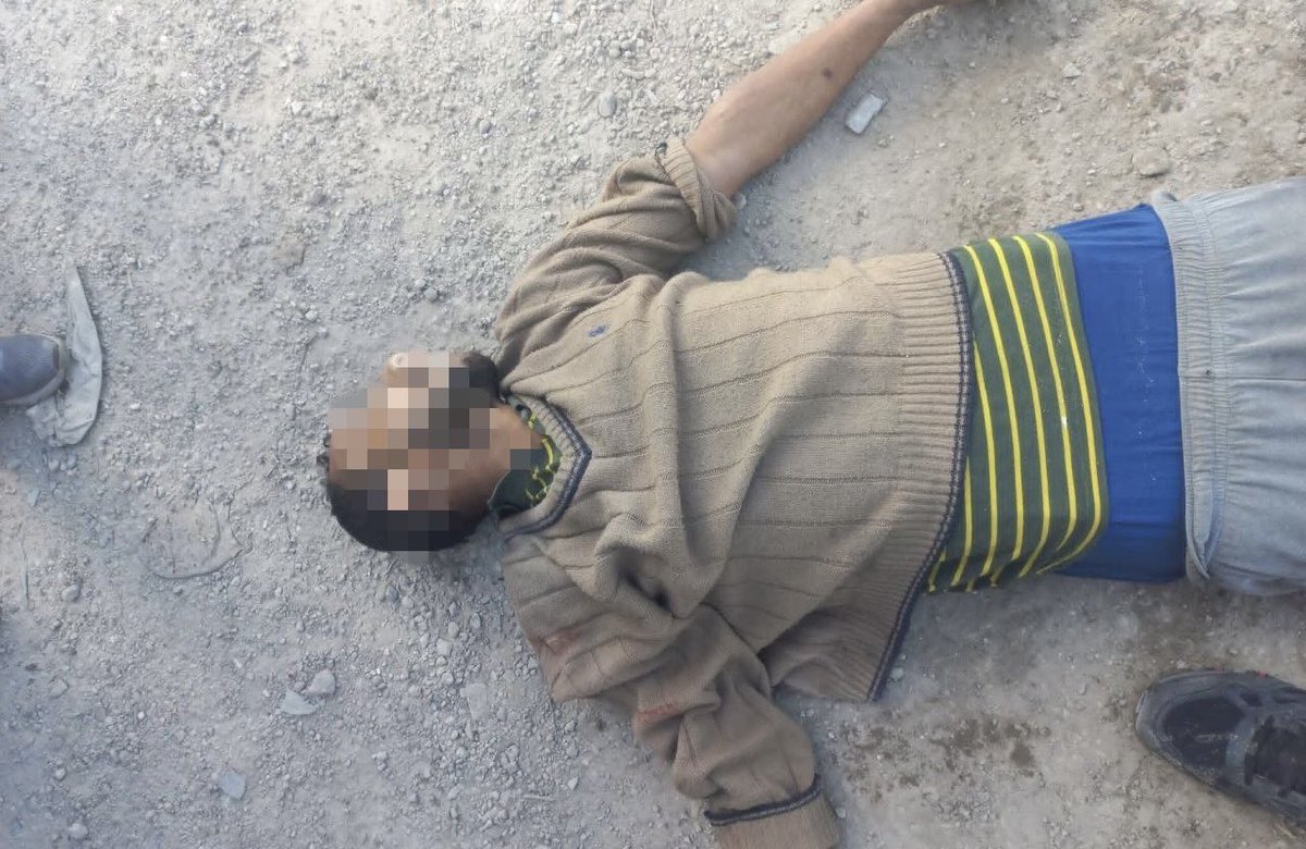 Sarah Wilkinson tweet media