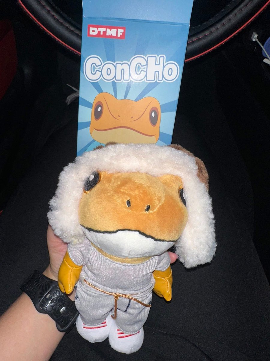 zaDegenerate's tweet photo. Gm $concho lookin' good here https://t.co/VYoVyxme6s