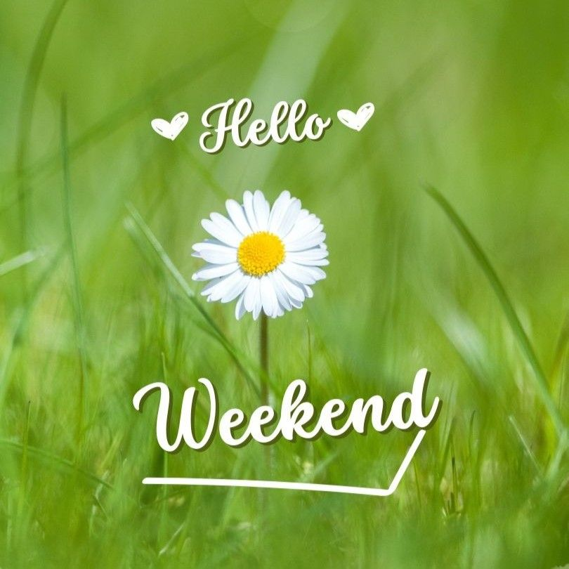 EllenCoveemc's tweet photo. #WeekendVibes https://t.co/a7yrCw6aCT