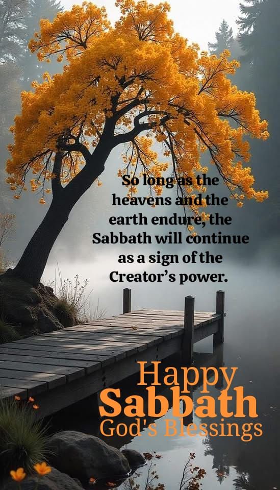 GBalkestein's tweet photo. As the first Sabbath of February dawns, may your heart be filled with gratitude, your spirit renewed, and your soul ready to embrace the blessings this new month brings.
#FirstSabbath #FebruaryBlessings #Gratitude #RenewedSpirit #FaithAndPeace https://t.co/jsP9ne09OT