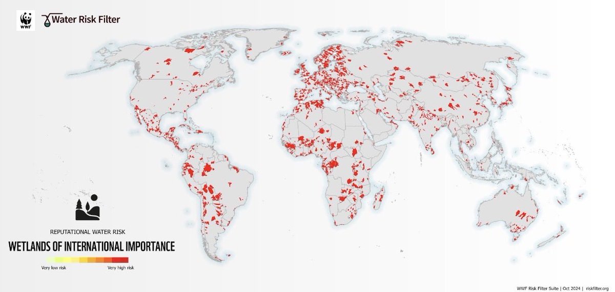“Estamos perdiendo humedales tres veces más rápido que los bosques”.

Los humedales contribuyen al sostenimiento de la biodiversidad, a la mitigación y adaptación al cambio climático, a la disponibilidad de agua dulce y, en última instancia, al sostenimiento de las economías.