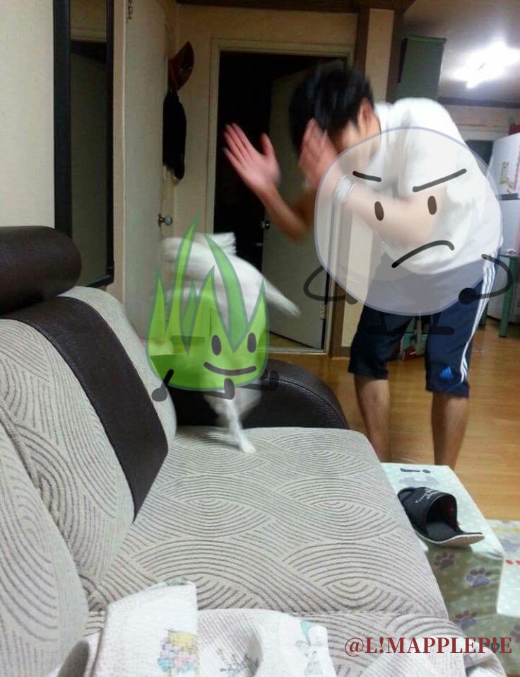 ADELE0527's tweet image. 내 캐해 짤로 표현해봄
#tpot #bfb #bfdi