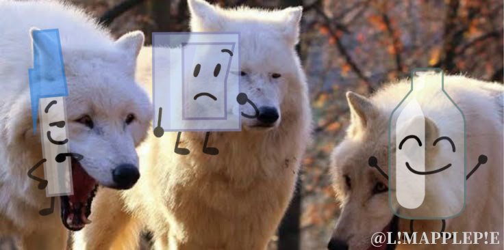 ADELE0527's tweet image. 내 캐해 짤로 표현해봄
#tpot #bfb #bfdi