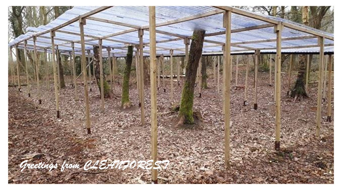 CLEANFOREST COST Action tweet media