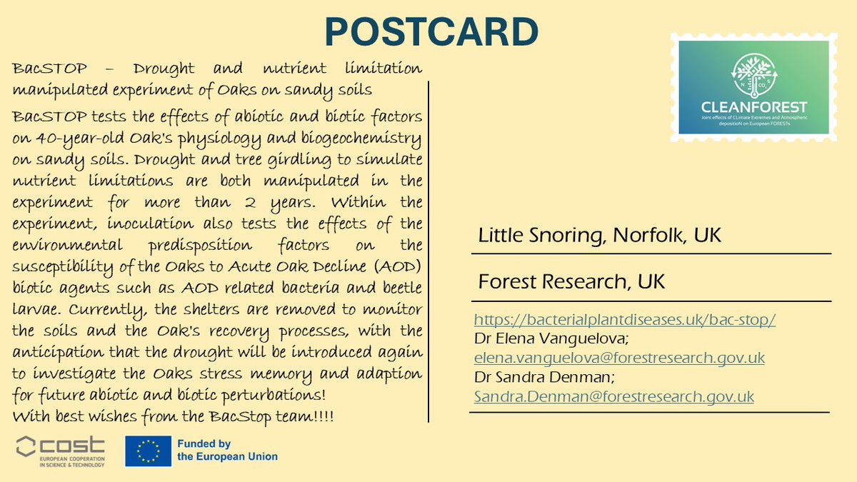 CLEANFOREST COST Action tweet media