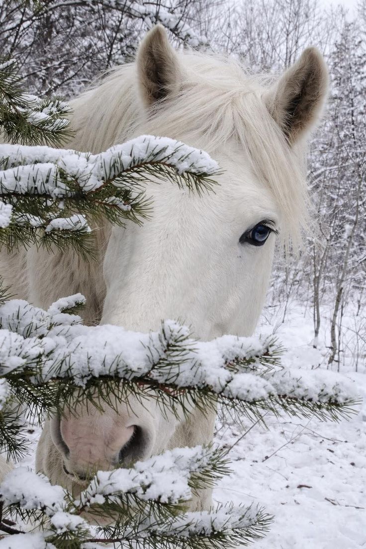 __EarthPicture's tweet image. 