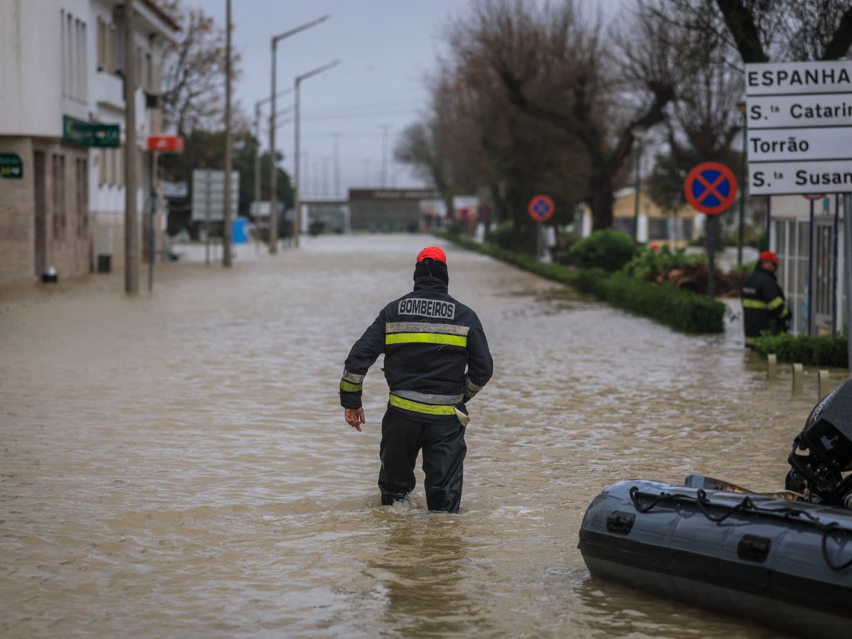 NOVA PORTUGAL tweet media