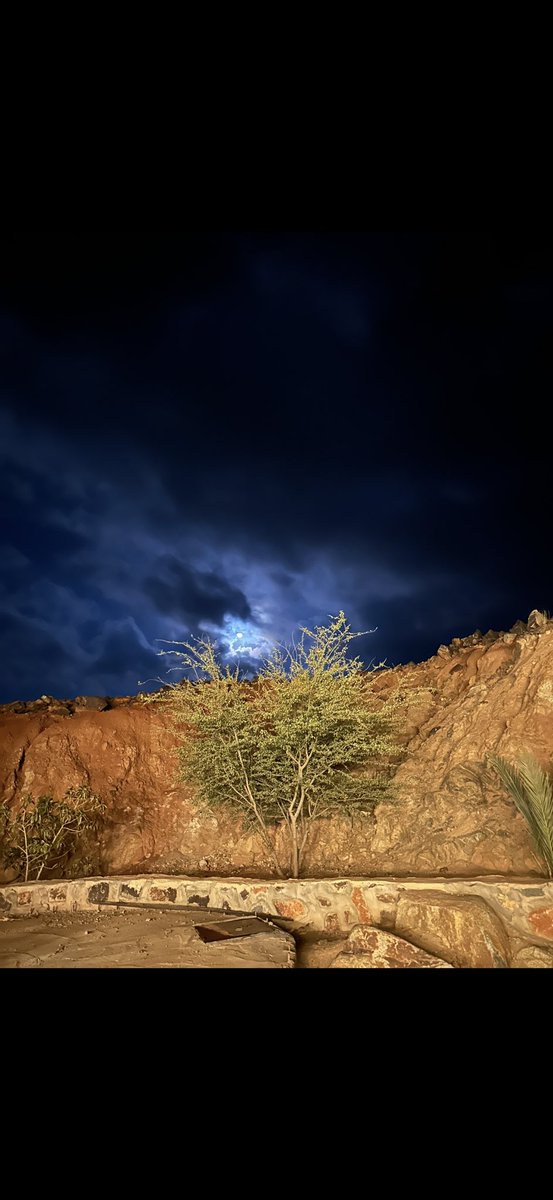 aamq61's tweet photo. تــرى الجـفـا عـقـب الـغـلا مايحـقـا 
..ودنيا الهـوى يانـون حـظ وتوافيـق https://t.co/fIZd6AfY2K