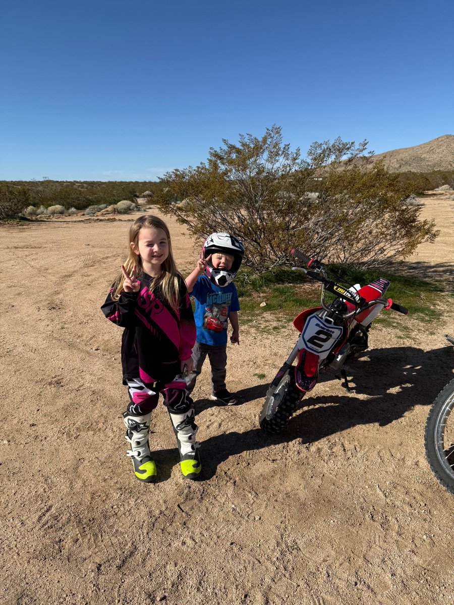 Tom Mueller tweet media