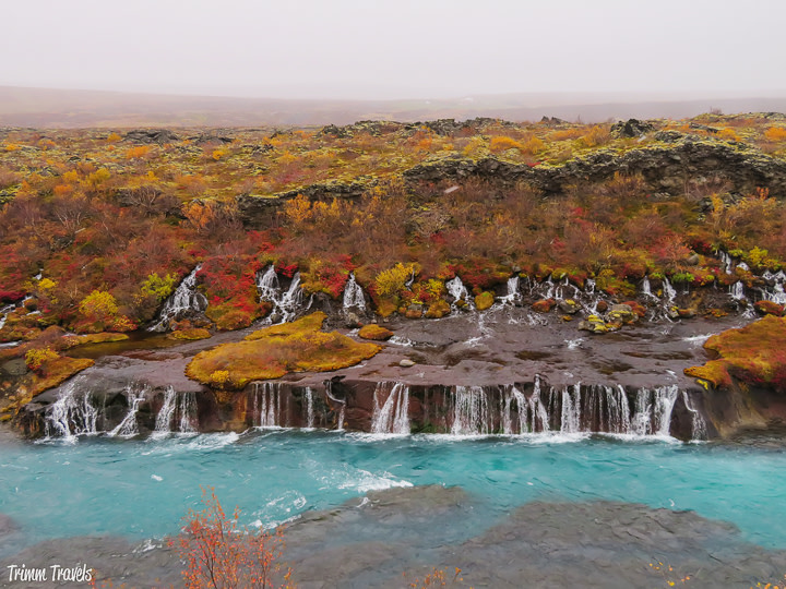 TrimmTravels's tweet image. Having a hard time deciding when to visit Iceland? Well, not anymore! You MUST read these compelling reasons to visit Iceland in October! 🙌🍁🇮🇸

Iceland in October: 5 Reasons It’s the Perfect Month to Visit! bit.ly/2YkiTnp | #travel #iceland #october | 🍁🇮🇸🍁🇮🇸