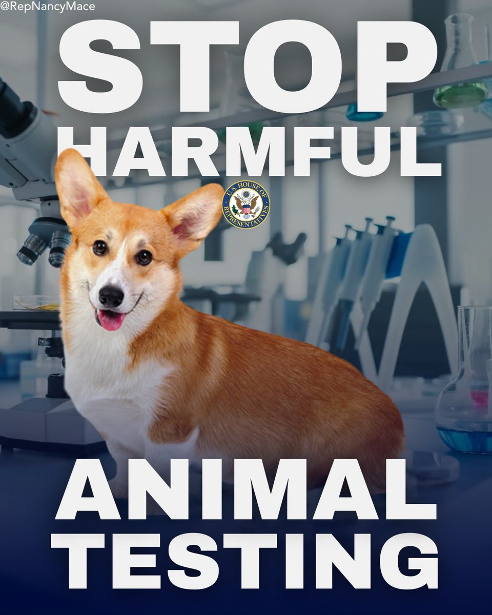 During our time in Congress, we’ve introduced and supported countless bipartisan bills to end animal abuse in federally funded labs.

Puppies and kittens subjected to painful experiments. Monkeys and other animals mutilated behind closed doors. This is taxpayer-funded animal